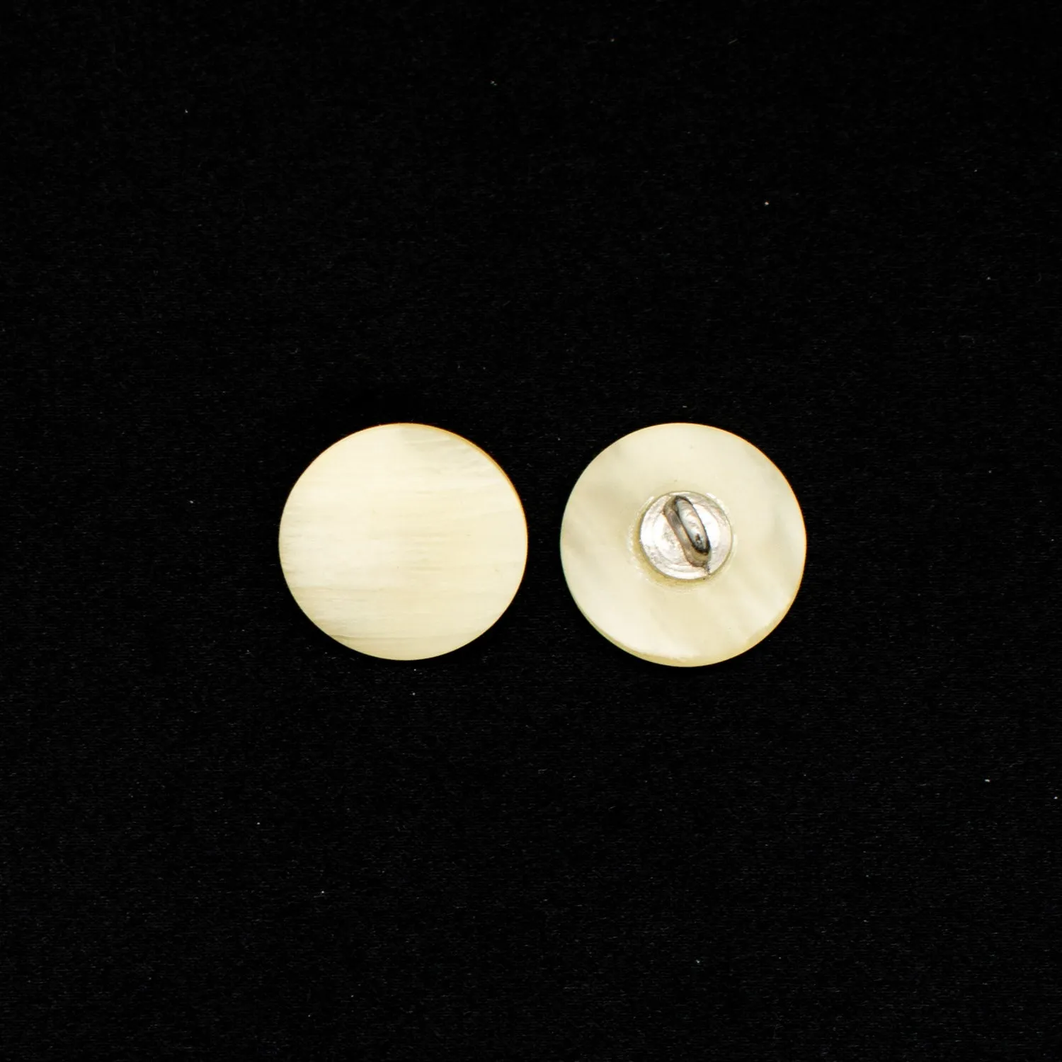 Matt Flat Horn Shank Button